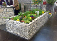 Geschweißte Gabions angehobene Garten-Betten für das Pflanzen von Blumen und von Gemüse