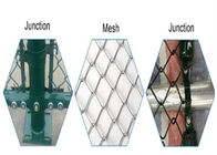9 Messgerät 50mm 6 des grünen überzogenen Kettenglied-Fuß Zaun-Fabric Galvanized Diamond Mesh Wire For Farm