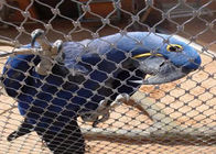 Große Vögel sperren Seil-Mesh Sky Woven Leopard Ferrule-Kabel-Netz des Haus-304 rostfreies ein