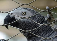 2mm Drahtseil Mesh Breeding Pigeons Bird Cage gesponnenes 7*19