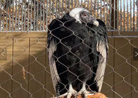 Drahtseil Mesh Animal Enclosure Netting Ce des Edelstahl-7x7 listete für Zoo auf