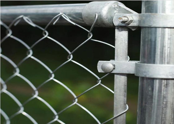 6ft Kettenglied-Zaun Fabric Galvanized Pvc beschichtete Diamond Mesh Wire Roll