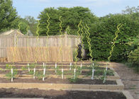 Draht-Tomaten-Spiralen-Stock 1.8M Längen-5.5MM für Garten