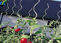6.5MM*1.8M Kettenglied-Zaun-Installations-Tomaten-Stützdraht